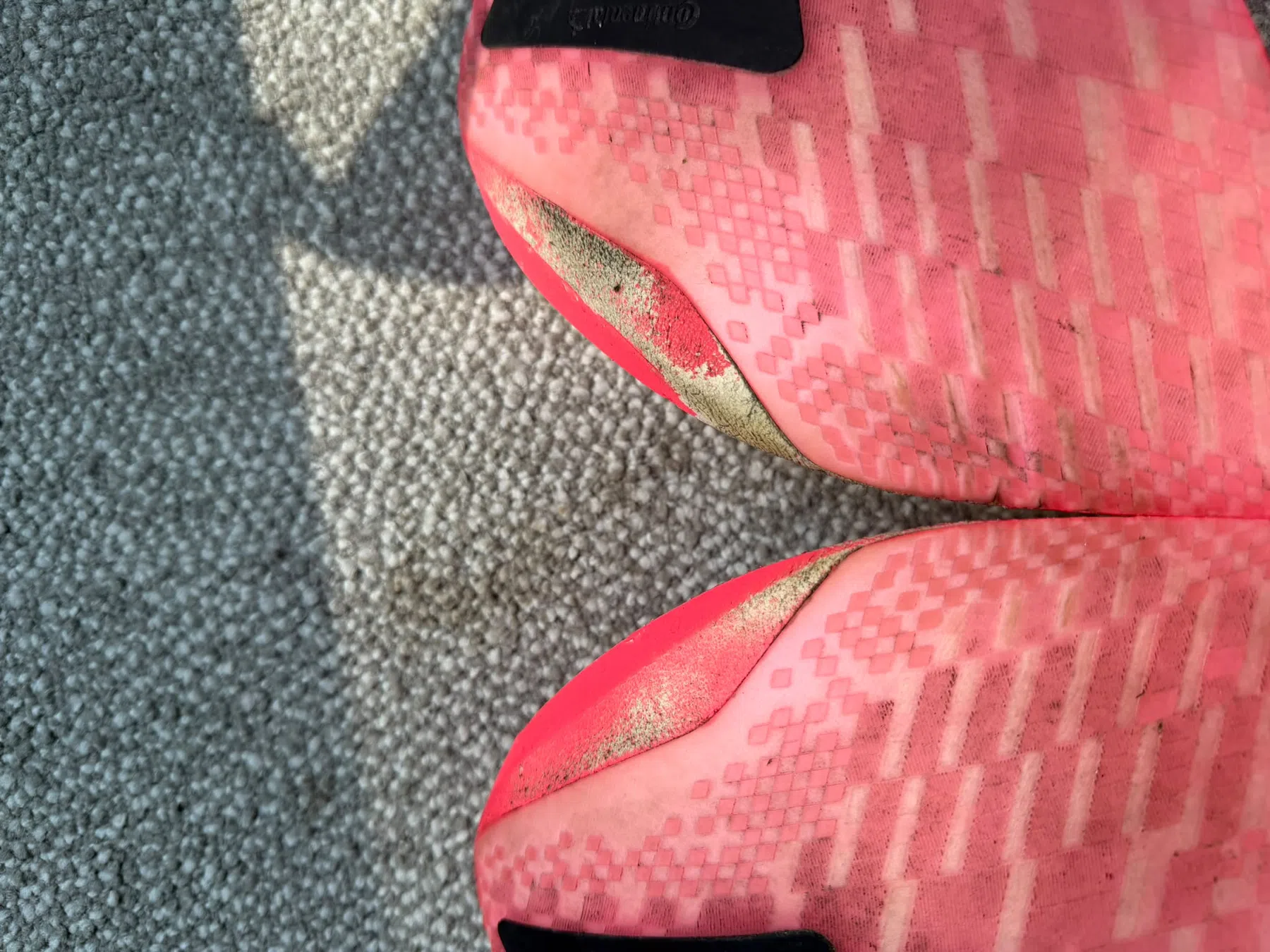adidas Adios Pro 5